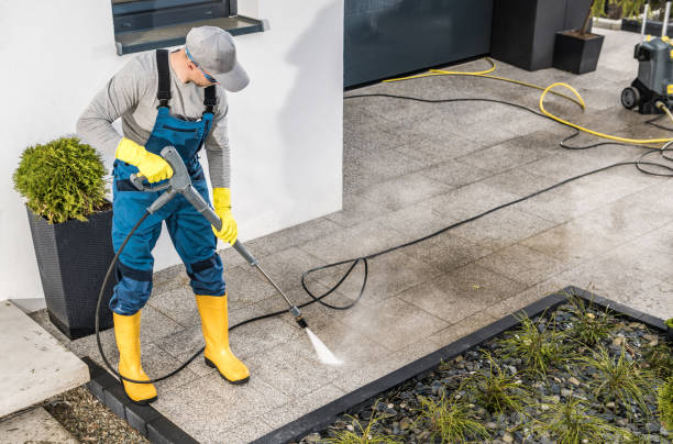 Best House Pressure Washing  in Tropical Park, FL